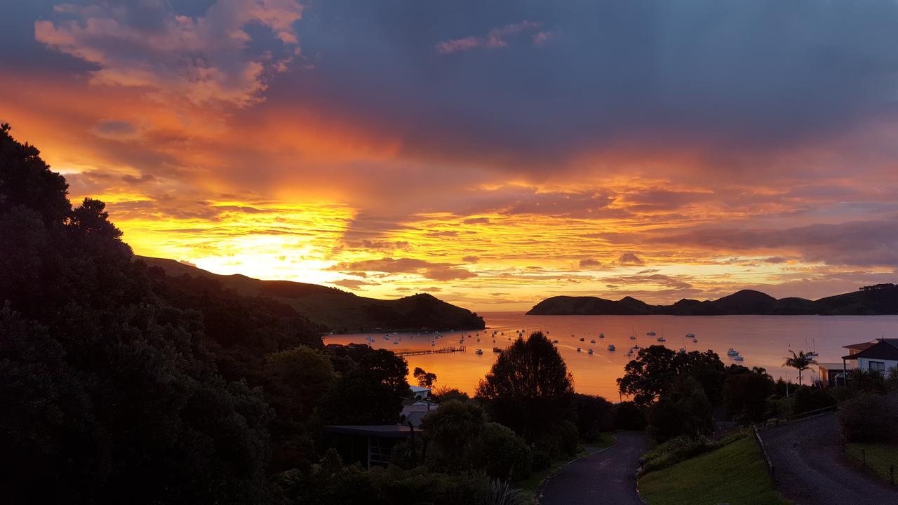Bed and Breakfast Bird Haven Coromandel Экстерьер фото